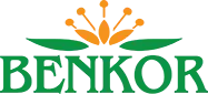 Benkor