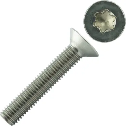 Šroub Imbus ISO 14581 nerez A4 M8x16 Torx