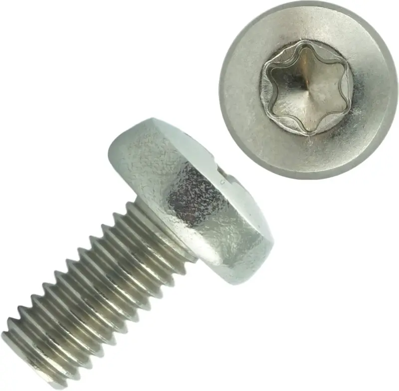 Šroub ISO 14583/DIN 7985 nerez A2 M6x20 Torx