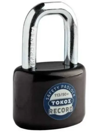 Visací zámek RECORD 113/50+