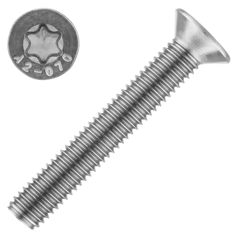 Šroub Imbus ISO 14581 nerez A2 M5x12 Torx Šroub Imbus ISO 14581 nerez A2 M5x12 Torx