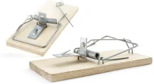 Past na myši, klasická, 1 kus