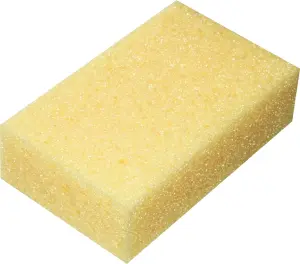 Houba tabulová 11 × 18 × 5 cm