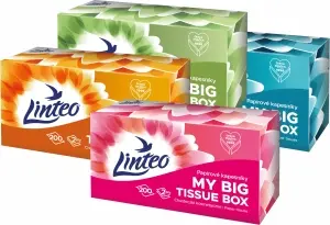 Linteo papírové kapesníky 2vrstvé box, 200 ks