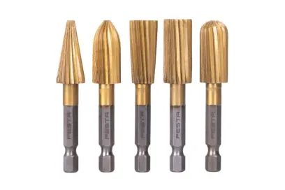 Sada rotační rašple FESTA 5 ks TiN šestihranná stopka 1/4