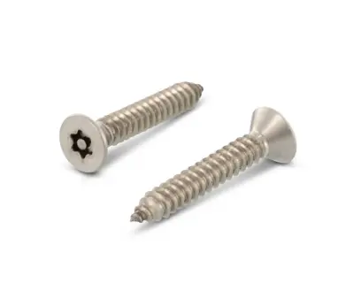 Art. 9122 Šroub pojistný 5,5x100 nerez A2, zápustná hl., Torx-PIN 27