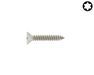 Šroub DIN 7982C nerez A2 4,8x50 Torx