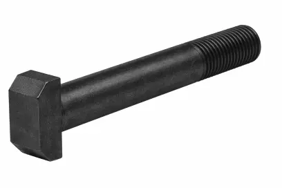 Šroub s T hl. DIN 261 ocel 4.6 M16x120 BP