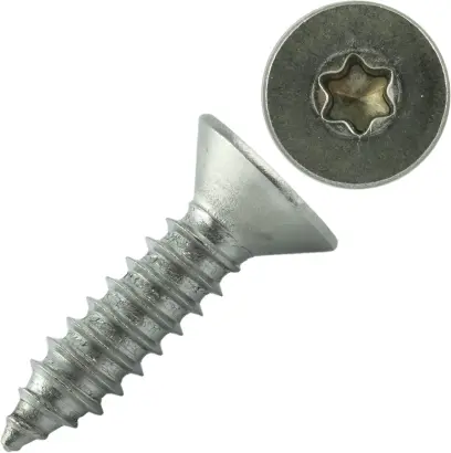 Šroub DIN 7982C nerez A2 4,8x25 Torx