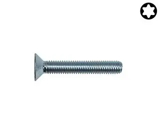 Šroub záp. hlava DIN 965 ocel 4.8 M6x10 ZB Torx