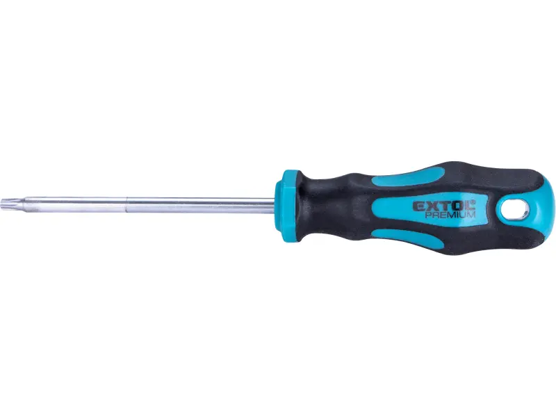 šroubovák TORX, TTa25x100mm, CrV šroubovák TORX, TTa25x100mm, CrV