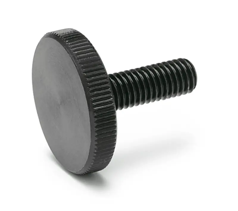 Šroub s rýh. hlavou DIN 653 5.8 M5X25 BP