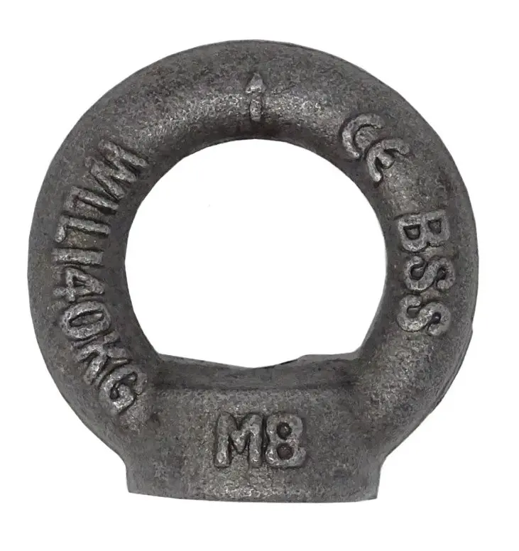 Matice s okem DIN 582 C15E M24 BP