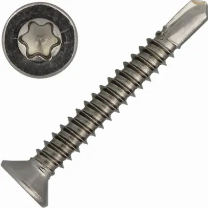 Šroub samovrtný DIN 7504P nerez A2 5,5x70 Torx