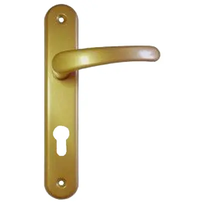 Dveřní kování Michaela V72 zlatá - vložka