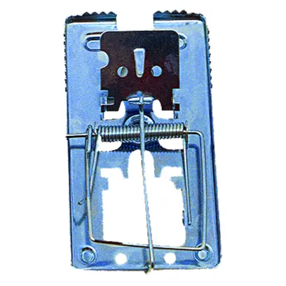 Past na myš pozinkovaná