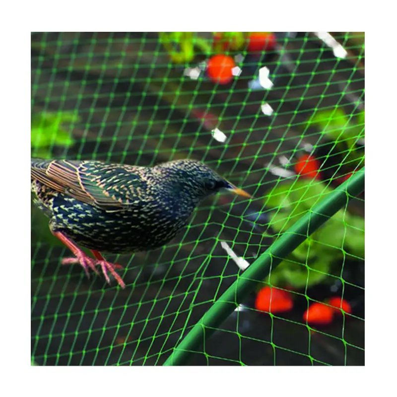 Síť zelená proti ptákům | M200 2x5 m Síť zelená proti ptákům | M200 2x5 m