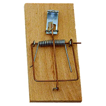 Past na myši - dřevěná 4,5x10 cm