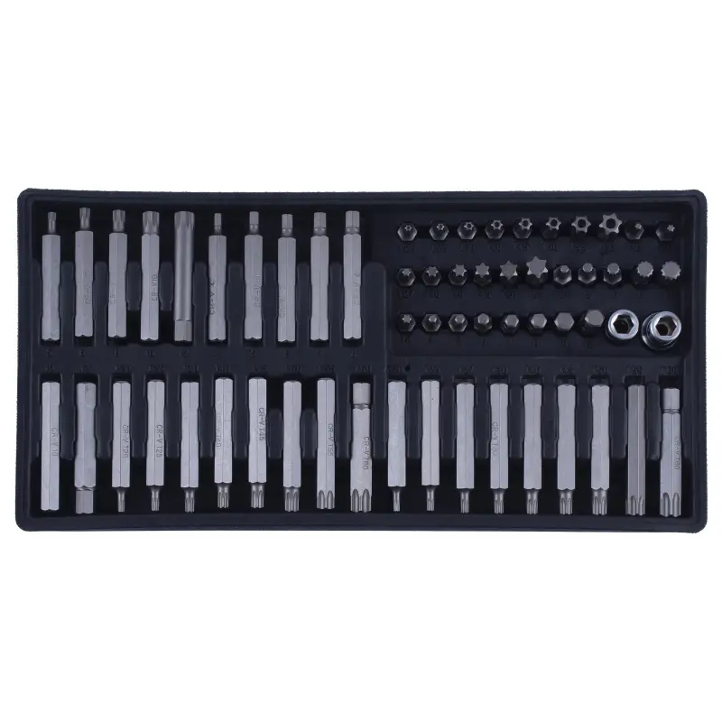 Sada zástrčných hlavic XZN,TRX, IMBUS 60 dílů