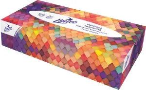 Linteo 2vrstvé papírové kapesníky, box 100 ks