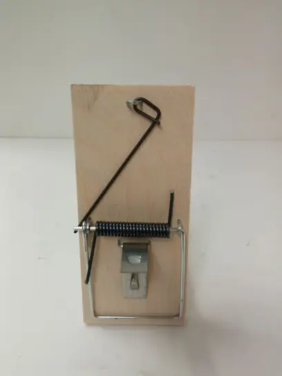 Past na myši PVC 801/D dřevěná 16216___DG60199