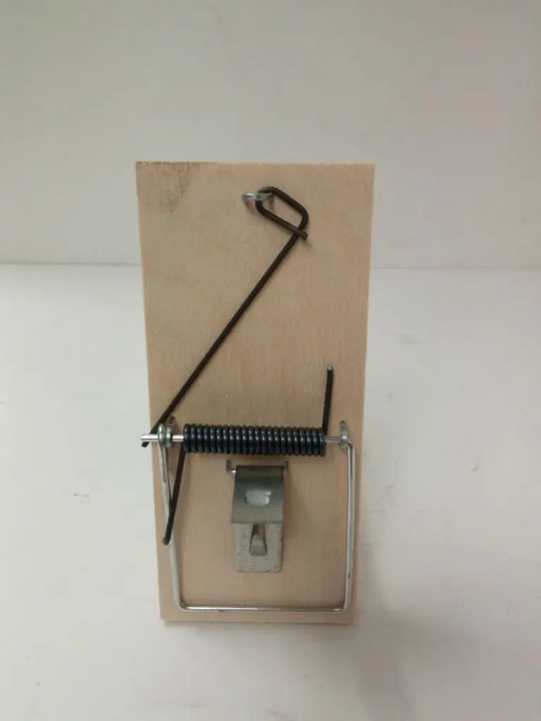 Past na myši PVC 801/D dřevěná 16216___DG60199