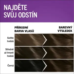 Schwarzkopf Perfect Mousse Permanent Foam Color barva na vlasy 400 Ledové Espresso