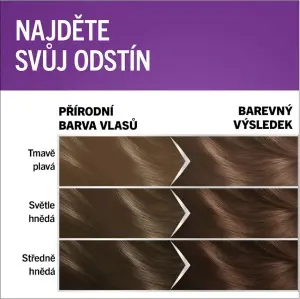 Schwarzkopf Perfect Mousse barva na vlasy 6-00 (600) světle hnědý