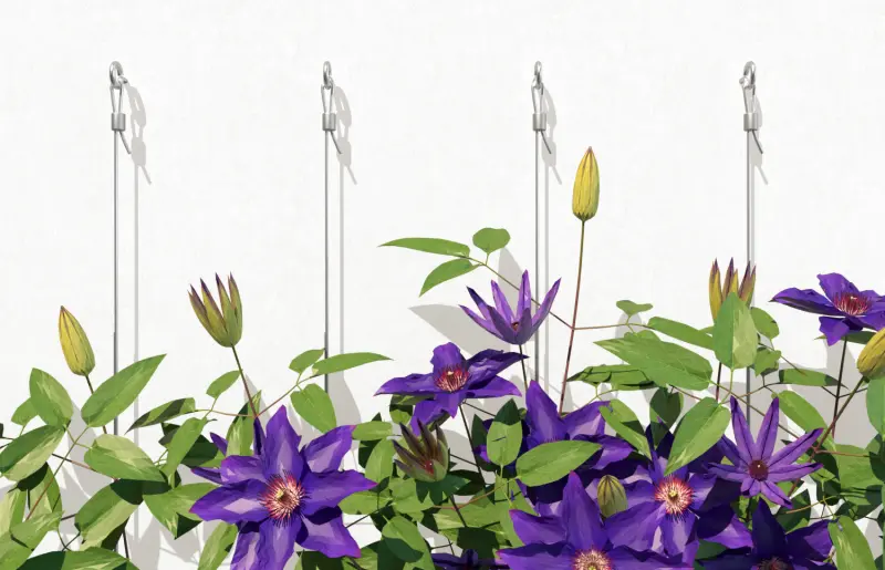 fischer hmoždinka S 14 H 100 R