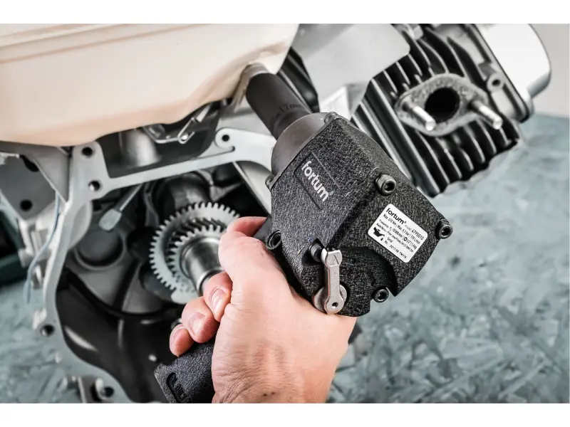 utahovák rázový, 1/2