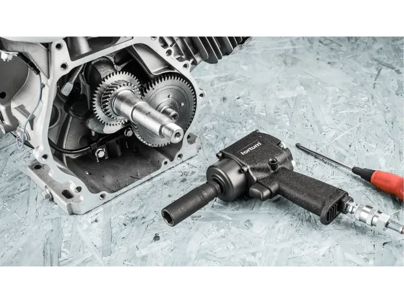 utahovák rázový, 1/2