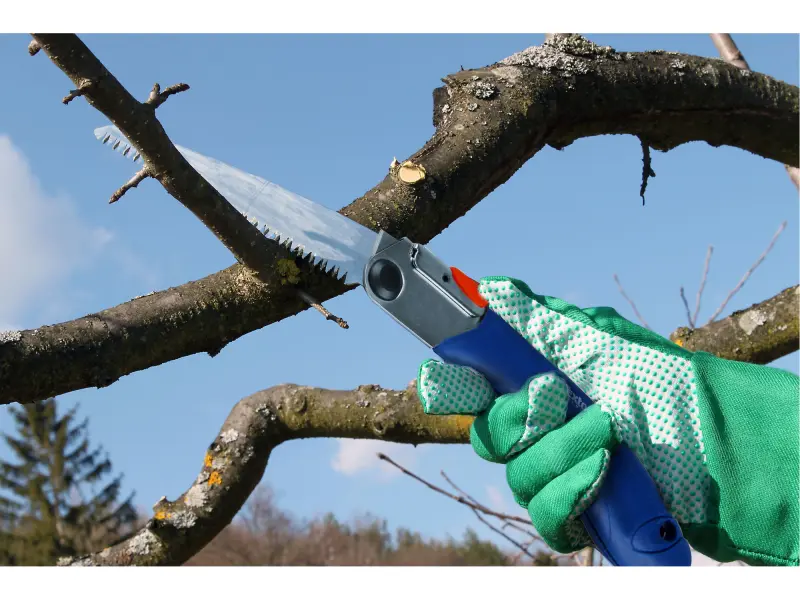 pilka na větve zavírací, 210mm