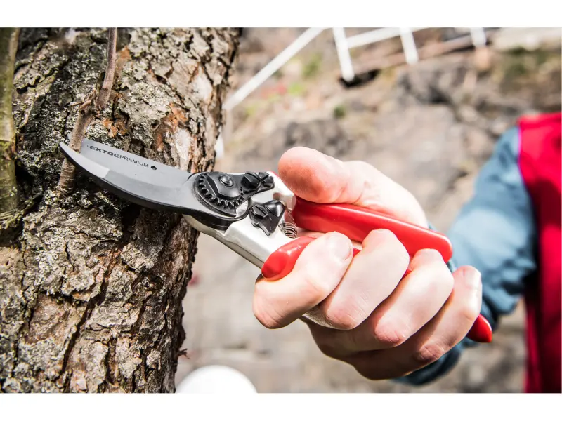 nůžky zahradnické, 215mm, SK5