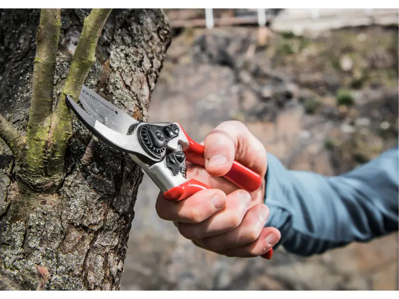 nůžky zahradnické, 215mm, SK5