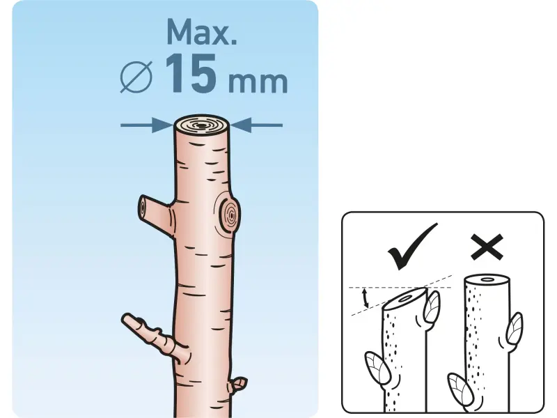 nůžky zahradnické, 180mm, SK5