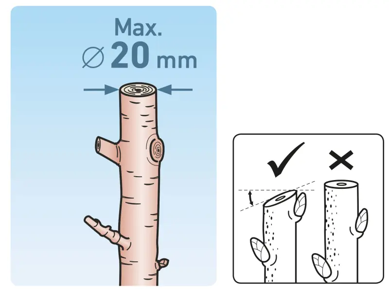 nůžky zahradnické, 215mm, HCS