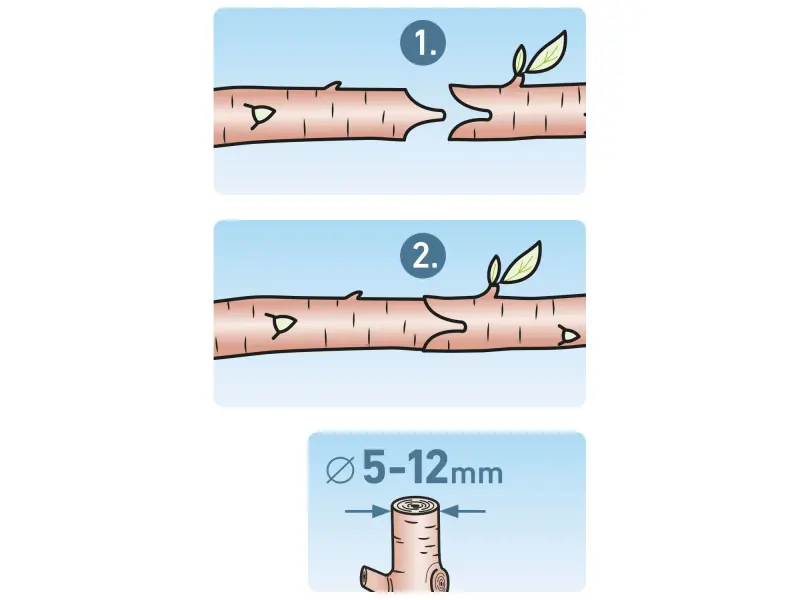 nůžky roubovací, 215mm, SK5
