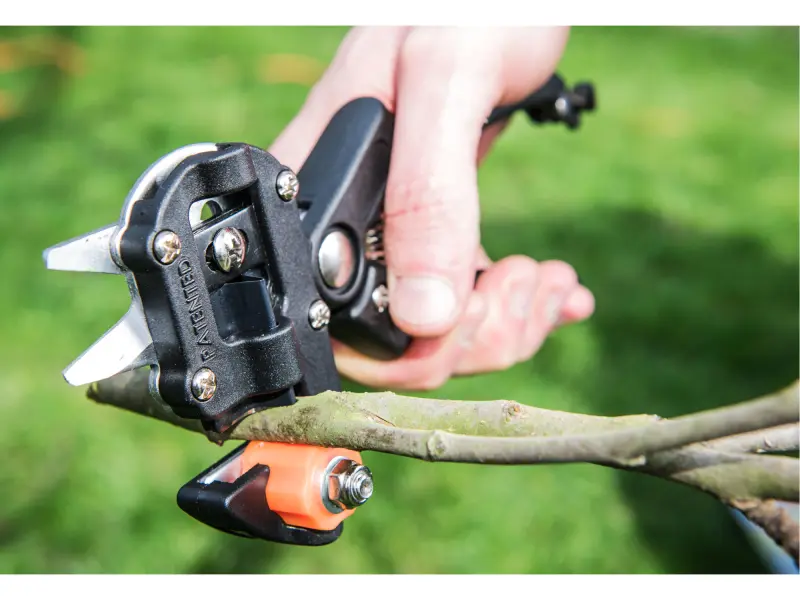 nůžky roubovací, 215mm, SK5