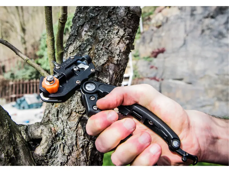 nůžky roubovací, 215mm, SK5