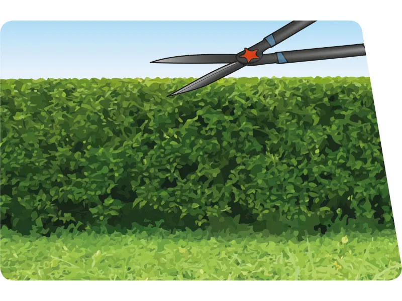 nůžky na živý plot s vlnitým ostřím, 630mm