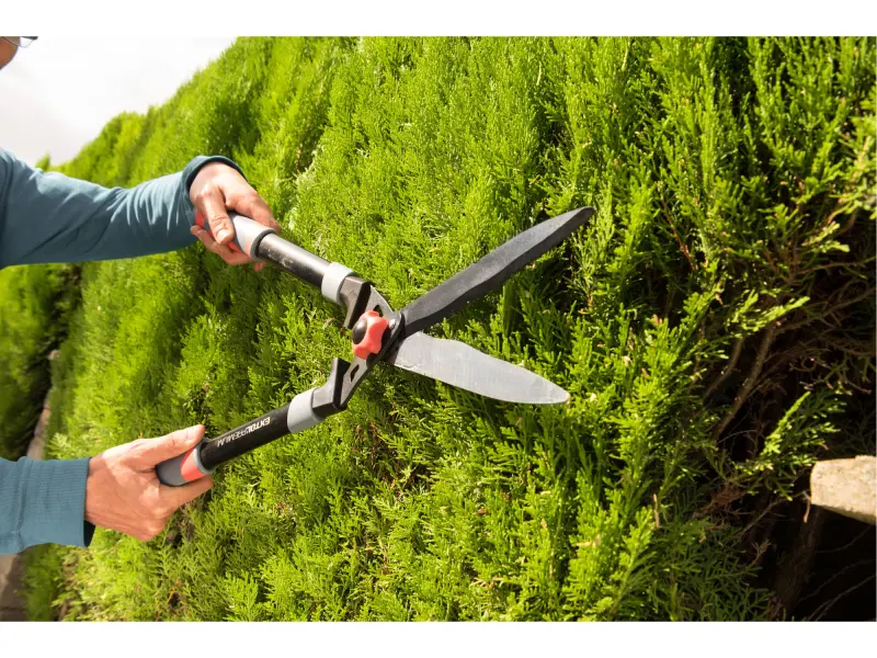 nůžky na živý plot s vlnitým ostřím, 630mm