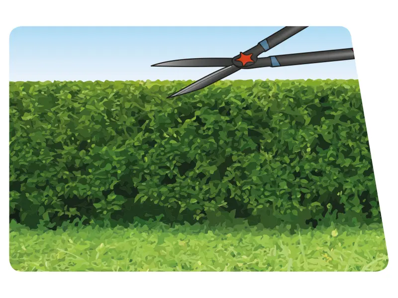 nůžky na živý plot s vlnitým ostřím teleskopické, 690-890mm