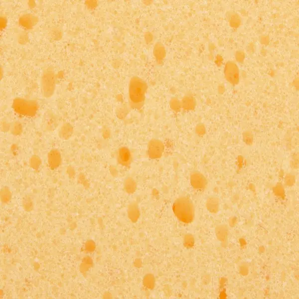 Hladítko FESTA houba mořská 220x130x30