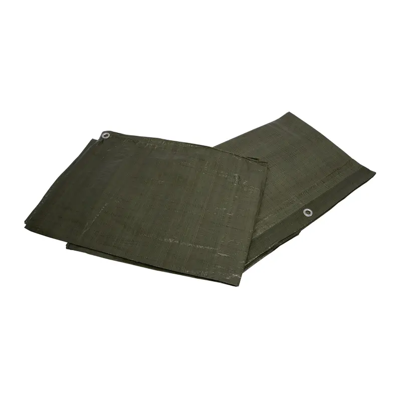 Zakrývací plachta PE zelená 70g/m2 | 5x8 m