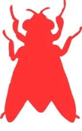 58974195943781-hubeni letajiciho hmyzu 58974195943781-hubeni letajiciho hmyzu